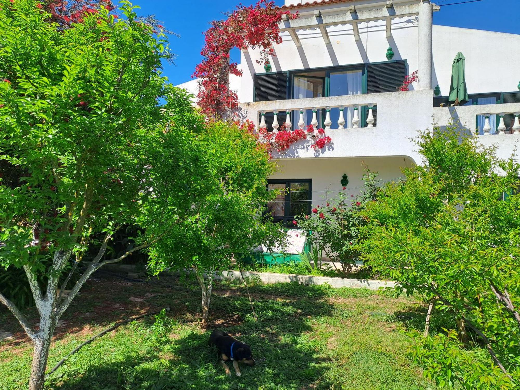 Av Fonte Coberta, Lagos, Villa Fonte Coberta ภายนอก รูปภาพ