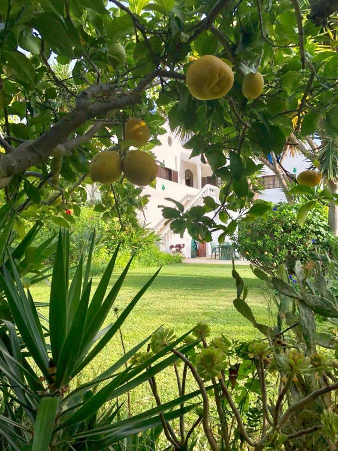 Av Fonte Coberta, Lagos, Villa Fonte Coberta ภายนอก รูปภาพ